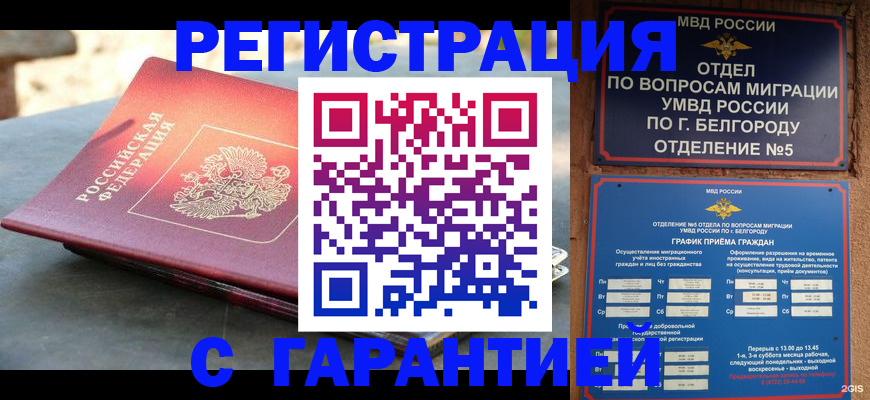 прописка поиск в Камышине