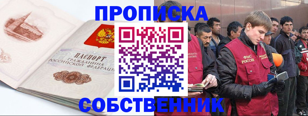 прописка поиск в Камышине